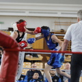 IMG 8477