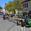 Maifest-DörflasDSC 0936 0010 