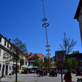 Maifest-DörflasDSC 1030 0104 