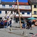 Maifest-DörflasDSC 1034 0108 
