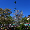Maifest-DörflasDSC 1068 0142 